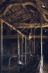old abandoned dairy farm without animals