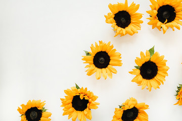 Sunflowers on white background. Flat lay, top view summer floral concept.