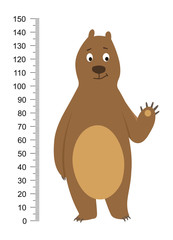 Funny brown bear isolated on white background. Children height meter wall sticker, kids measure. Vector print.