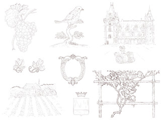 Hand drawn set of wine design elements and labels illustrations. Vintage engraving style.