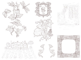 Hand drawn set of wine design elements and labels illustrations. Vintage engraving style.