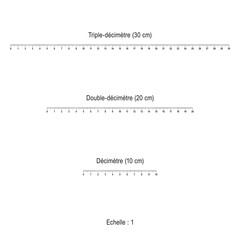 RÈGLE GRADUÉE EN CM_graduations non décomposées modifiables
