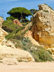Paradise beach in Albufeira city in Portugal with wonderful nature, dunes and beach
