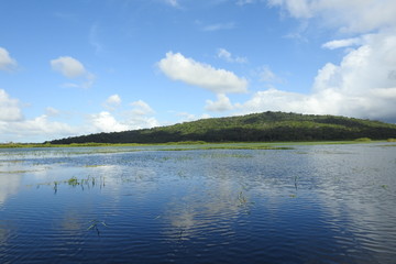 MARAIS DE KAW