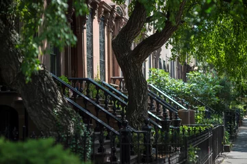 Malerischer Blick auf einen klassischen Brownstone-Block in Brooklyn mit Sommergrün entlang der Treppengeländer in New York City © lazyllama