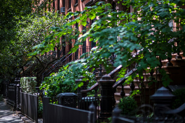 Scenic view of a classic Brooklyn brownstone block with a summer greenery along the stoop...