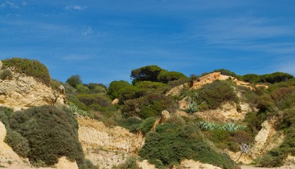 Paradise beach in Albufeira city in Portugal with wonderful nature, dunes and beach