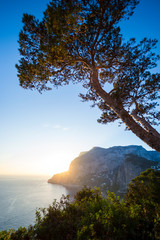 Golden light glowing through pine tree silhouettes as the sun sets behind a scenic panoramic view of the iconic cliffs of the island of Capri, near Naples, Italy