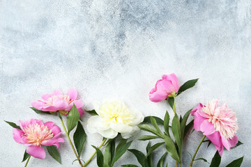 Beautiful pink peony flower blossoms closeup on vintage grunge concrete textured background. Happy International women's mother's valentine's first spring day. Copy space, close up, top view, backdrop
