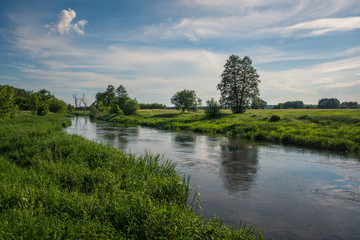 Fototapeta na wymiar Radomka river near Glowaczow, Masovie, Poland