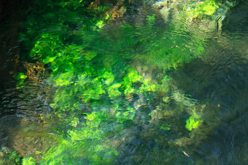 Sous l'eau de la rivière