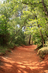 Fototapeta premium Chemin de terre rouge