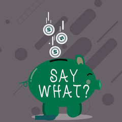 Word writing text Say Whatquestion. Business photo showcasing Repeat the thing you said Astonishment Surprise Expression