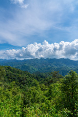 Fototapeta premium Blue sky high peak mountains fog hills mist scenery national park views at Phu Tub Berk, Khao Koh, Phetchabun Province, Thailand