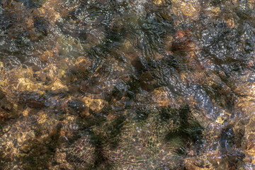 Abstract shallow water top view background, stone bottom underwater