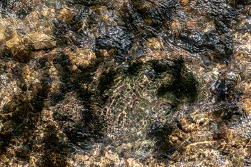 Abstract shallow water top view background, stone bottom underwater