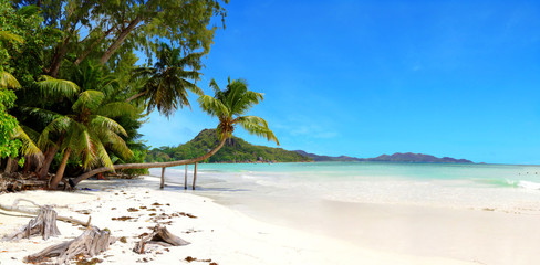 photo of a paradise beach in seychelles