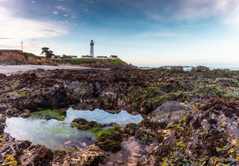 Fototapeta na wymiar Pigeon Point Lighthouse sunrise, reflection of clouds in low water, California, USA