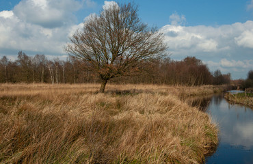National Park Weerribben Overijssel Netherlands. Moor and peatfields