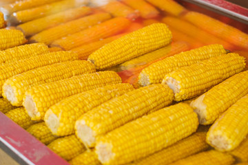 corncobs -  cooked, yellow corn for sale -