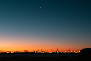 Fototapeta na wymiar Silhouette of cranes under the moonlight at dusk after sunset.