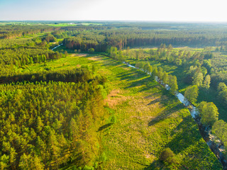 Rzeka Czernica las z drona