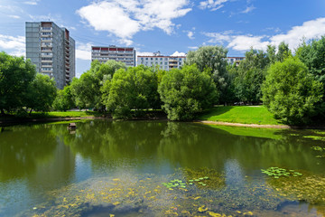 A small pond in the south-west of Moscow, Russia.