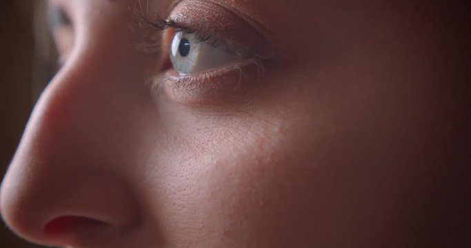 Closeup side view portrait of young pretty caucasian female face with blue eyes looking at camera