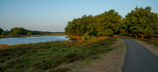 Moor. Peat fields near Beilen drente Netherlands