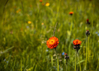 Sauerland Landschaft