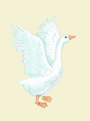 Goose duck Drake bird home yard village paws beak red white