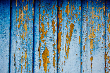 Wood texture. abstract natural background with surface wooden pattern grain