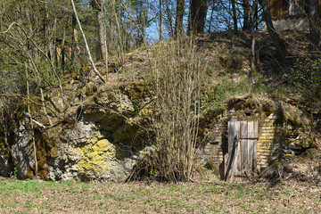 hill with cellar in spring
