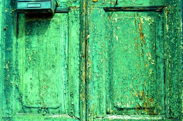background of green wooden old vintage door close-up