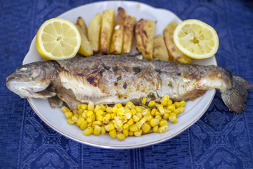 Fish in a plate with potato, lemon and corn. Salmonidae in a plate - 272409780
