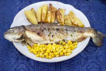 Fish in a plate with potato and corn. Salmonidae in a plate - 272409789