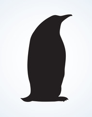 Penguin. Vector drawing