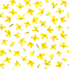 Golden Bell Seamless pattern, Forsythia suspensa, spring branch with blossoming yellow flowers.