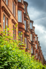 Tall Hedge Grows in Front of Red Sandstone Tenements in Glasgow Scotland