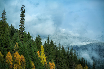 North Thompson River, British Columbia, Canada