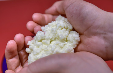 Close-up shot of Kefir's