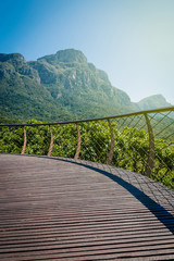 Elevated wooden walkway with a view in botanical garden in South Africa