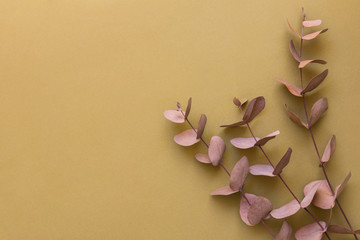 Elegant bouquet of branches twigs of dry silver dollar eucalyptus. Warm autumnal color palette of...