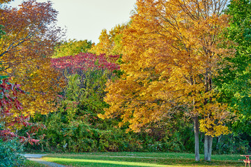 Naklejka premium Autumn scene landscape somewhere in New England