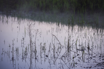 Surface of the lake.
