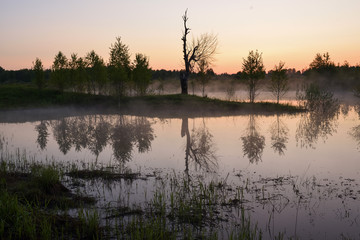 Fog over the lake surface