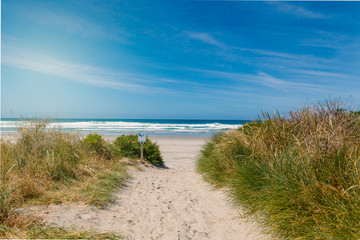 Path to empty Allans beach near Dunedin, New Zealand
