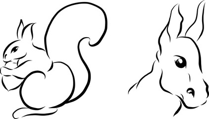 Vector sketch of squirrel and donkey 