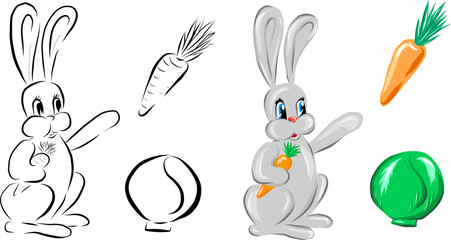 Vector sketch and colorful bunny with carrot and cabbage