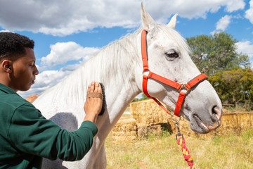 Black man brushing white horse
